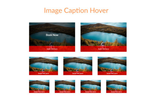 Image Caption Hover