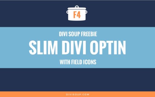 F4: Slim Divi Optin with Field Icons