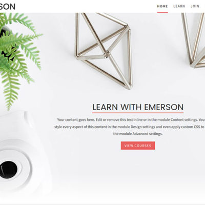Emerson child theme for Divi & LifterLMS
