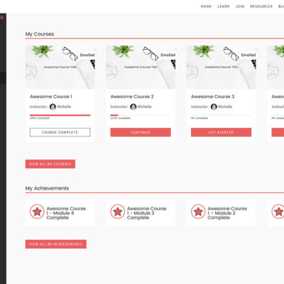 Emerson child theme for Divi & LifterLMS